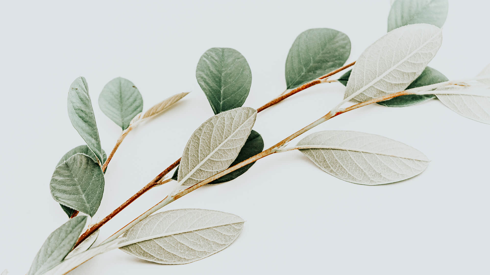 The Myth of Secure Age Verification and Why the Australian Social Media Ban is a Privacy Suicide Pact